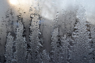  winter patterns on the glass