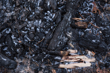 Remains from the fire. Charcoal covered with the first snow. All that remains after the picnic.