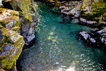 Clear water in the forest