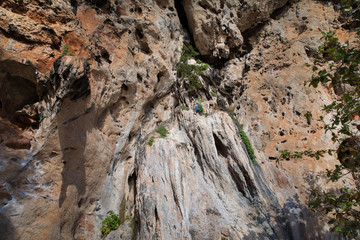 Young man rock climbing on karst limestone white mountain in Thailand
