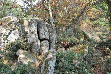 Fototapeta na wymiar Beglik Tash-megalithic sanctuary, Bulgaria