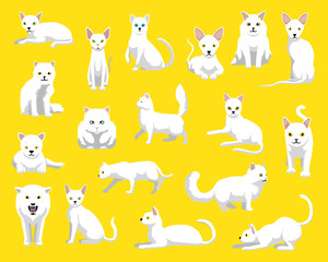 Cute Various White Cat Poses Cartoon Vector Illustration