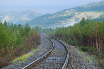 Vorkuta-Labytnangi railway section on a sunny August morning. Polar Ural, Russia