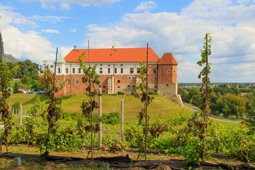 Fototapeta na wymiar Old castle from 14th century in Sandomierz,
