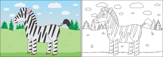 Coloring book for children. Zebra cartoon on background of meadow, trees. Vector illustration.