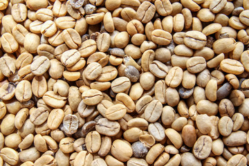 unroasted or green coffee beans background