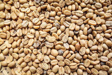 unroasted or green coffee beans background