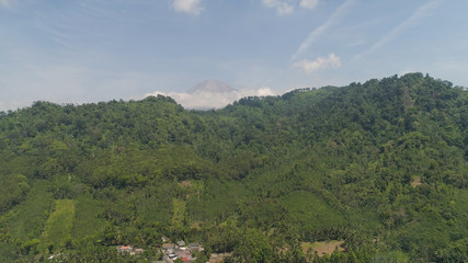 mountain landscape mountains covered green tropical forest, blue sky. aerial view slope mountain forest with large trees and green grass. Jawa, Indonesia