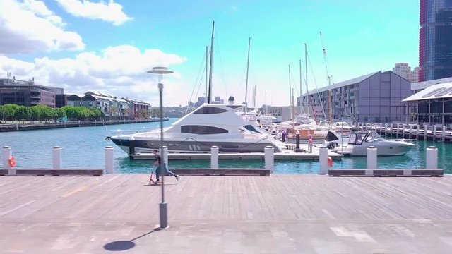 Pyrmont Bay Wharf. Sydney Australia