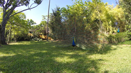 DCIM\100GOPRO\G0011703.