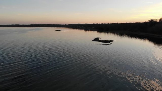 Aerial view flying across the sea in Nyk&radic;&prod;bing Bugt with swimming and flying seabirds in a beautiful sunset