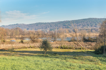 Swamp in northern Italy, example of eutrophic lake in autumn. Portion of the lake Comabbio also called Corgeno, now separated and called marsh of Mercallo, province of Varese