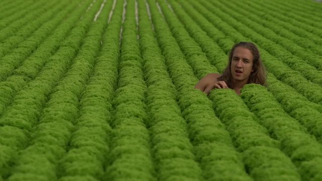 Young vegan man with long hair lies in salad field caresses salad