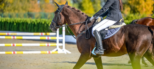 Beautiful girl on sorrel horse in jumping show, equestrian sports. Light-brown horse and girl in...