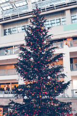 Fototapeta na wymiar colorful ball on christmas tree