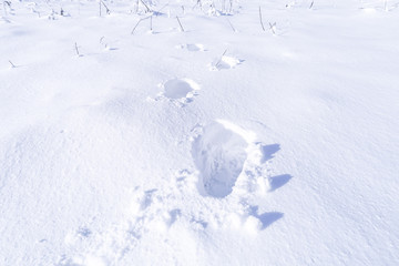 Footprint and hands on snow