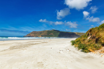 Big empty Allans beach near Dunedin, New Zealand