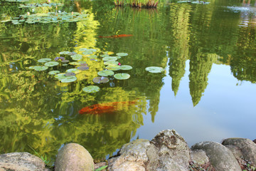 Presenze nel laghetto