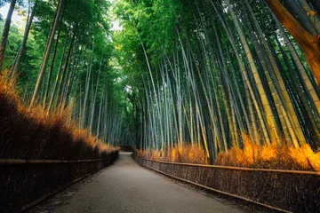 Foto op Plexiglas The Bamboo Forest of Arashiyama, Kyoto © Joseph Oropel