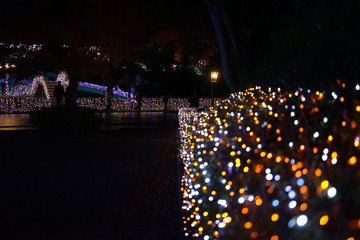 西武園ゆうえんちイルミネーション