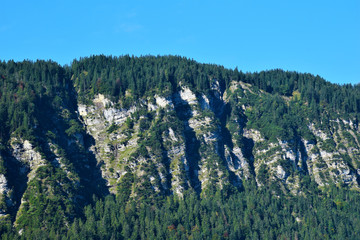 Nature Soul Impression