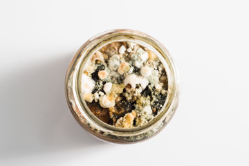  Mold on a jar of jam isolated on white background