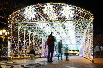 西武園ゆうえんちイルミネーション