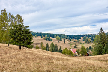 Fototapeta na wymiar Herbstlandschaft mit Trockengras - Erzgebirge