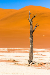 Deadvlei