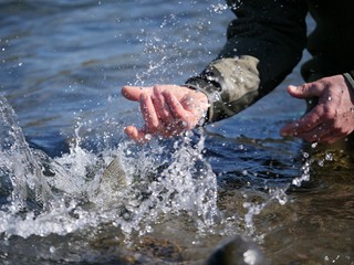 Trout being released back into the water