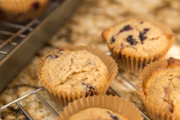 Homemade Blueberry Muffins, Blueberry Muffin Dessert