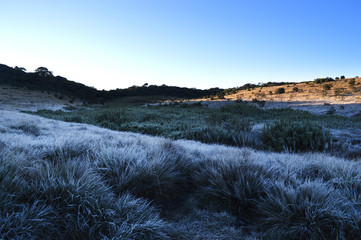 sunrise on Horton plains