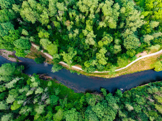 Aerial top down view of summer forest with Vilnele river winding among the trees. - obrazy, fototapety, plakaty