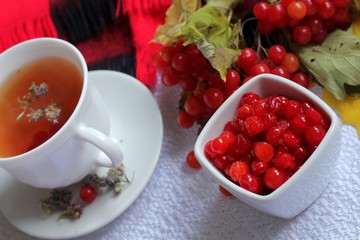 Hot tea made from medicinal plants for the treatment of colds in autumn and in winter on a white background; next to the scarf, red berries in a plate, bunch of cranberries, honey, flowers of thyme.