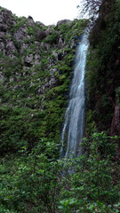 Obraz premium A waterfall with green landscape