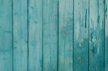 Texture of old blue green tree. Wooden texture background with scuffs, scratches, peeling paint. Background with place for text.