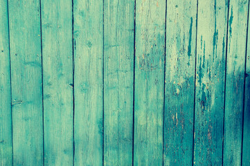 Fototapeta na wymiar Texture of old blue green tree. Wooden texture background with scuffs, scratches, peeling paint. Background with place for text.