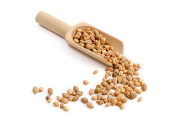 Mahleb (Felsenkirschkerne)