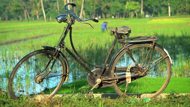 Bicycle by male manual farmer irrigating rice fields with tool Java Indonesia 