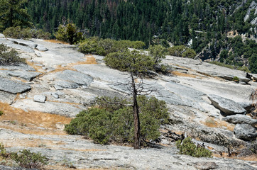 Scenic landscape of Yosemite Valley, California, USA