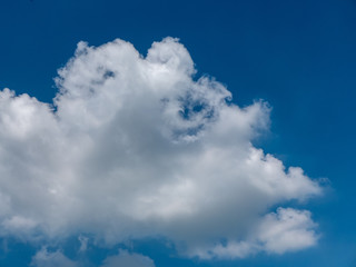 Naklejka na ściany i meble blue sky with cloud in the sunny day
