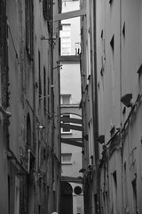 A Typical Italian narrow street 