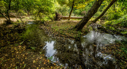 Bridge over troubled waters in the forest. White water rapids flow under the bridge