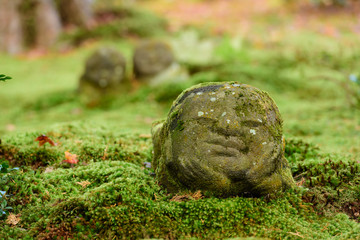 三千院　苔とお地蔵さん
