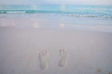 background  sea 