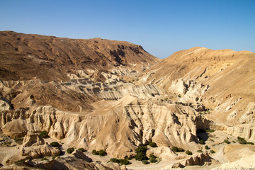 Israele
