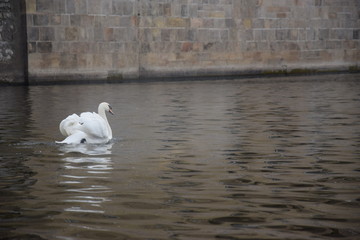 Prague, République Tchèque