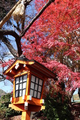 紅葉豊かな新倉山浅間公園