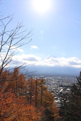 紅葉豊かな新倉山浅間公園