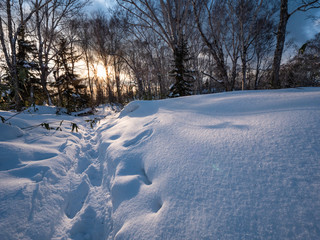 冬の手稲山登山
